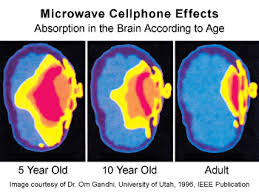 microwavecelltelephoneaffects.jpg