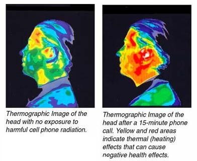microwavecelltelephonethermographic.jpg