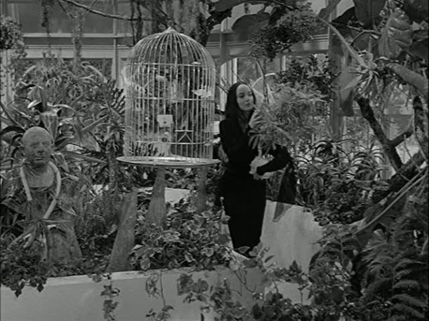 morticiaaddamsconservatory.jpg