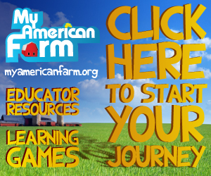 myamericanfarm.jpg