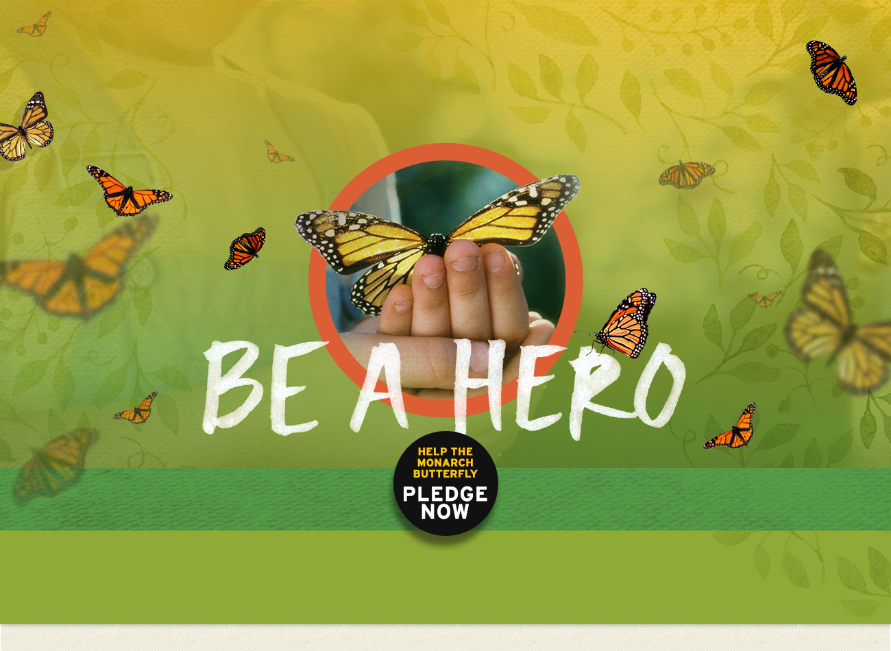 nationalwildlifefederationbutterflyheroes.jpg
