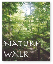 naturewalknatureskills.gif