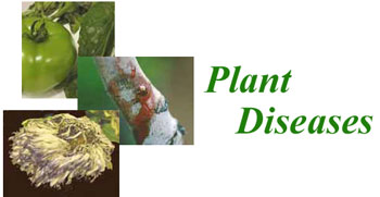 plant3diseases.jpg
