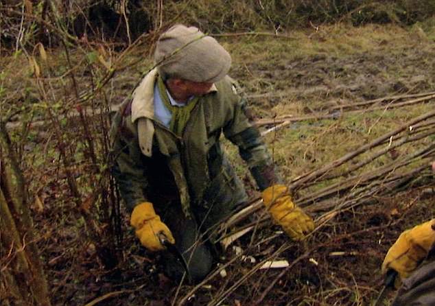 princecharles-hedgework.jpg