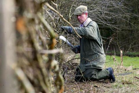princecharles-hedgework2.jpg