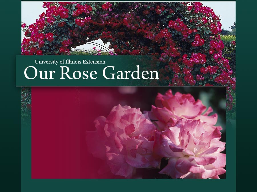 rosegardenuofil.gif