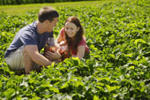 strawberryfieldcouple.jpg